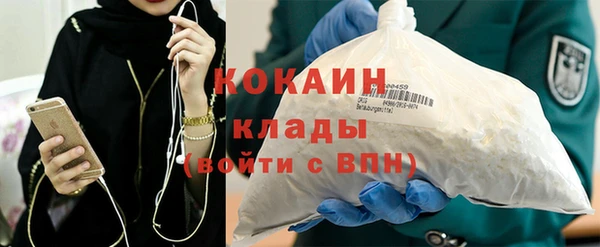 индика Богородск