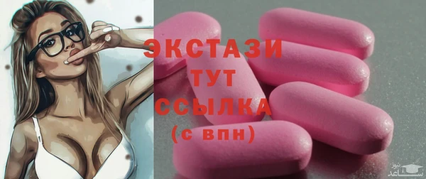 индика Богородск