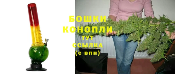 индика Богородск