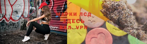 мяу мяу мука Белокуриха